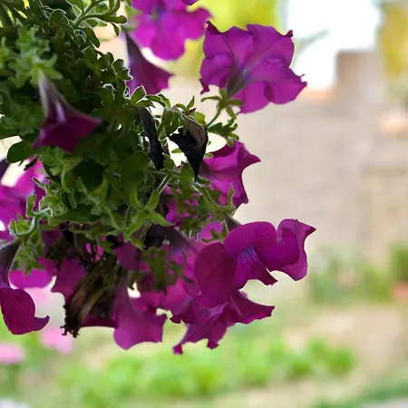 Anna's Corfu Escape 2 Ágios Ioánnis